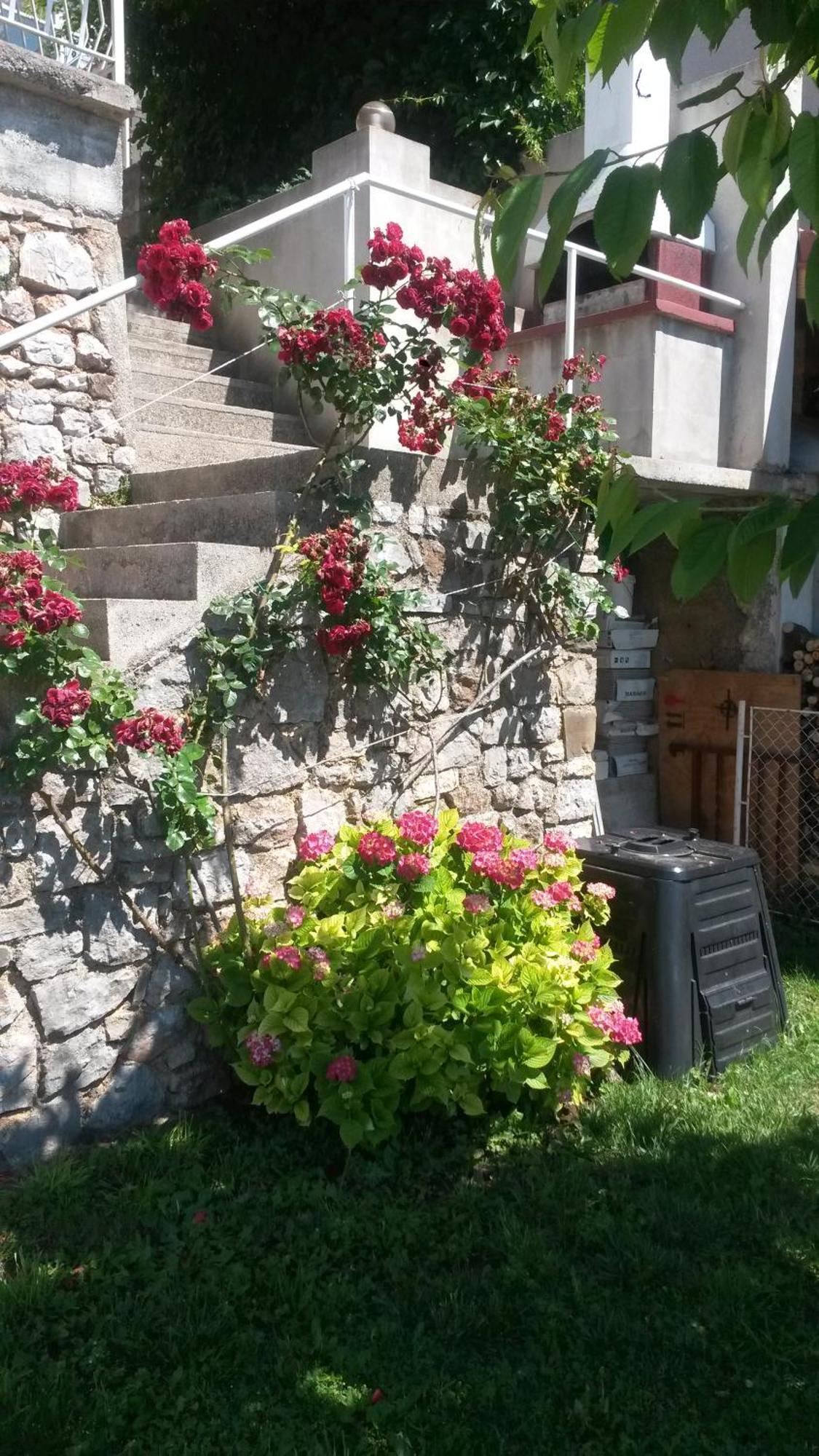 Apartmani Silvana&Vera Senj  Exterior foto